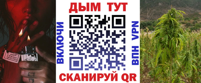 где найти наркотики  Ува  Каннабис Amnesia 